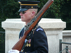 protectFlyheatherfly