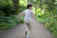 followersWoodleyWonderworks