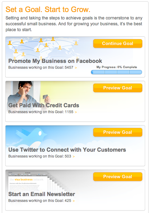 Visa Business Network Goals