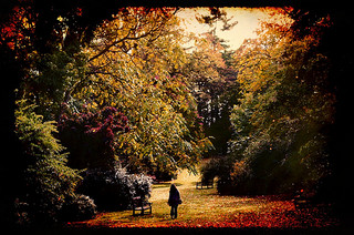 The Secret Garden